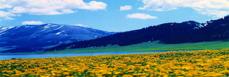 Tianshan Tianchi Lake