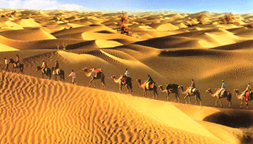 Silk Road Exploration