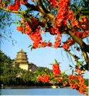 Beijing Badaling Great Wall and Summer Palace Tours