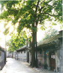 Beijing One Day Private Tours