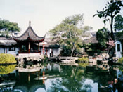 Garden of the Master of the Nets