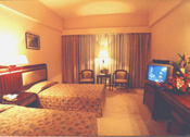 Standard room (twin beds)