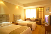 standard room (twin beds)