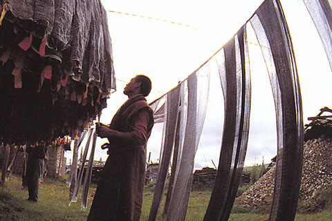 Praying Flag in Plateau