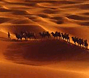 Silk Road