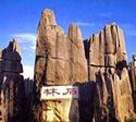 Stone Forest