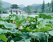 West Lake